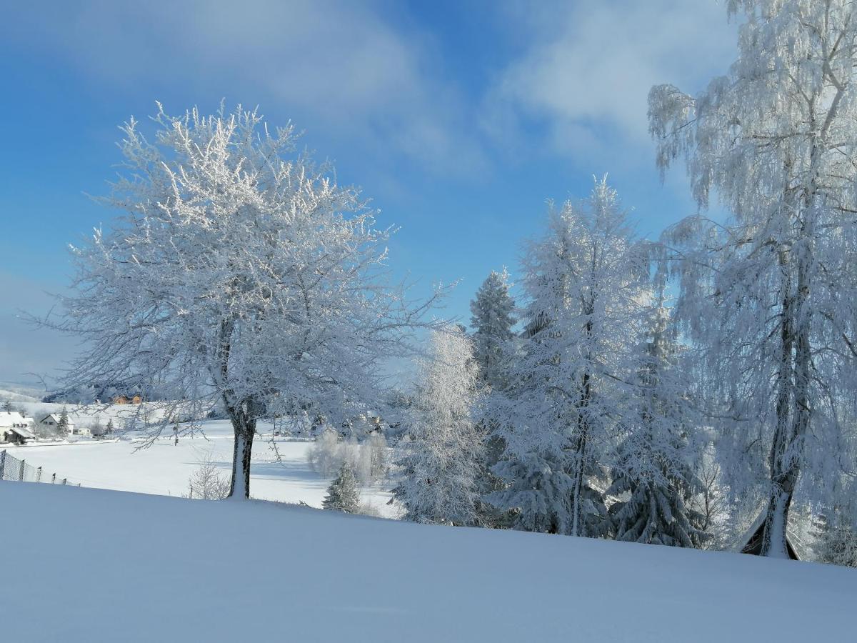 Apartmani Tarin zov Kaludjerske Bare Buitenkant foto