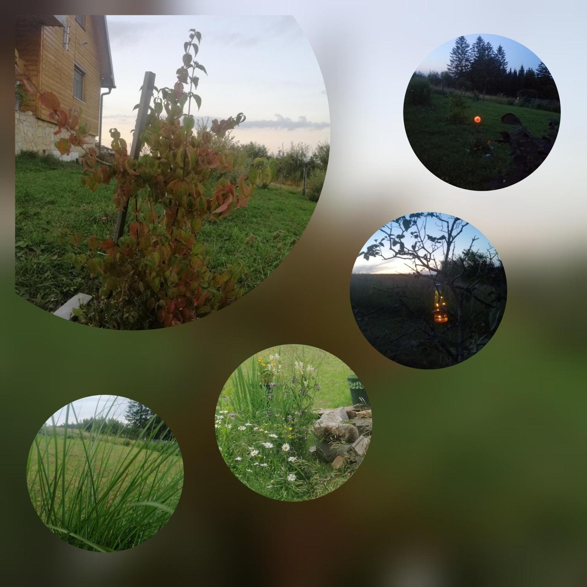 Apartmani Tarin zov Kaludjerske Bare Buitenkant foto